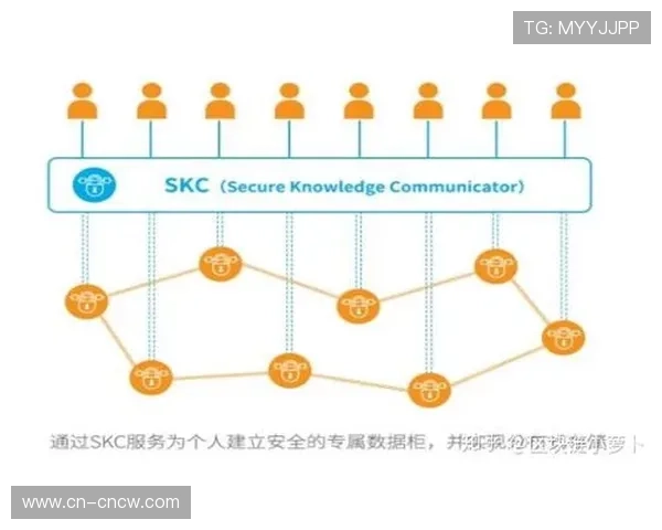 赛事版权价值深度开发 多媒体内容矩阵扩大影响